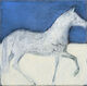 Equus