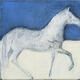 Equus