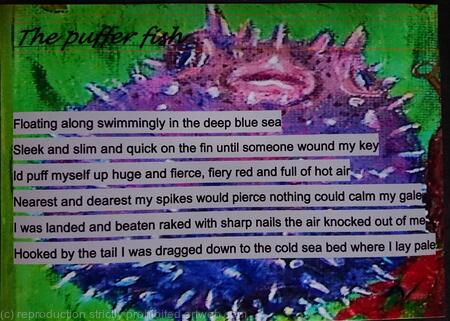 The puffer Fish 