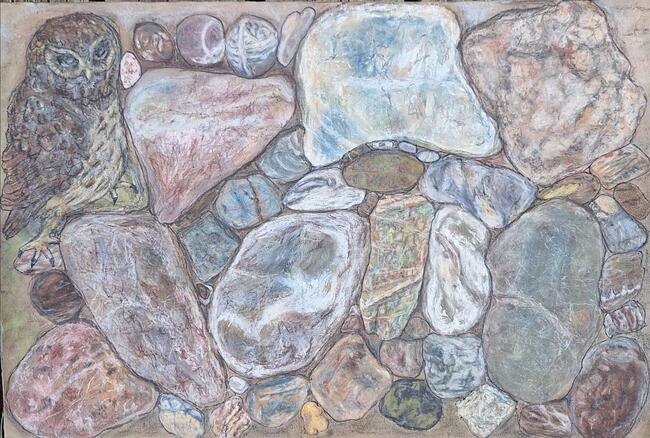 Little Owl on Stones 