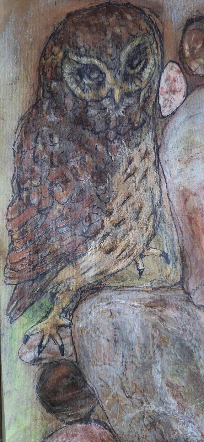 Little Owl on Paper detail 