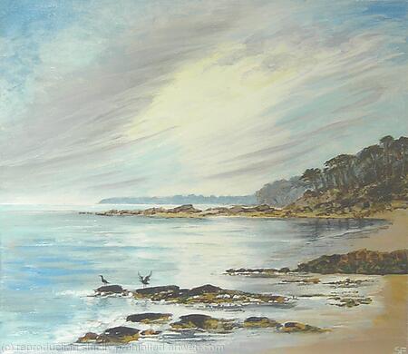 Cormorants on the  Rocks