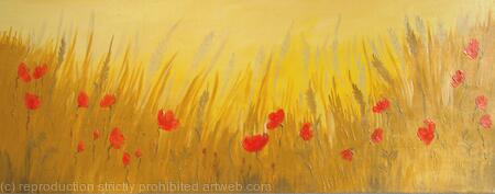 Gold Poppy Field