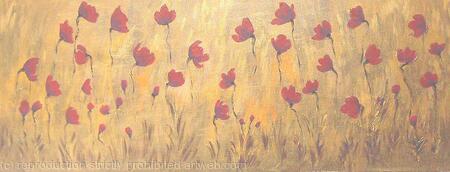 Dusky Poppy field 