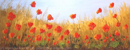 Natural Poppy Field2