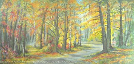 Sunny Autumn Woodland Colours