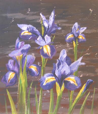 Irises Study