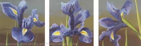 Irises Triptych