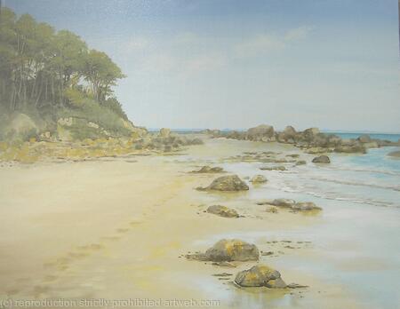 Footprints in the Sand.Priory Bay 