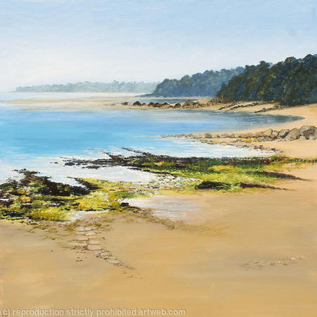 Seaweed on the Sands