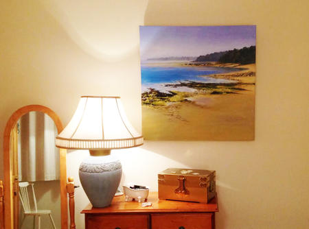 seaweed on the sands in new home