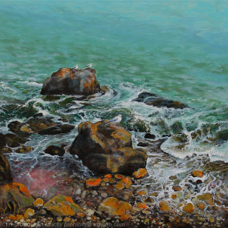 Seagulls on the Rocks