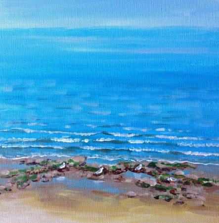 Seagulls on theBeach