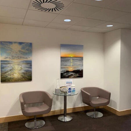 Paintings exhibited by Little Van Gogh Company 