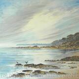 Cormorants on the  Rocks