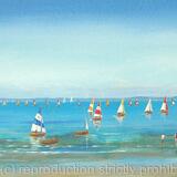 Sailing Boat Race