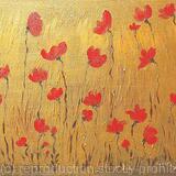 Gold Poppy Field