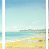 New Summer Triptych