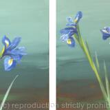 iris diptych