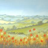 Hillside Poppies