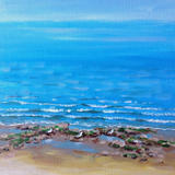 Seagulls on theBeach