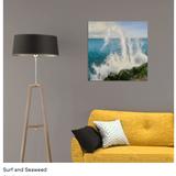 Surf and Seaweed in a room 