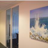 Paintings exhibited by littlevangogh company in situ  