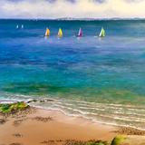 Spinnakers Up in Calm Water 