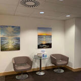 Paintings exhibited by Little Van Gogh Company 