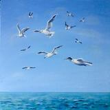 Seagulls Flying over the Sea 