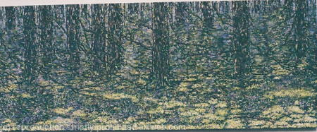 the Misty Wood in Yellow and Violet