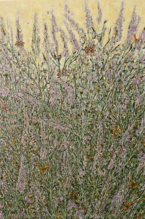 Butterflies in the Bush