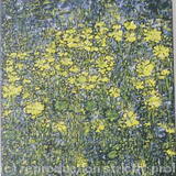 Marigolds of the Marsh