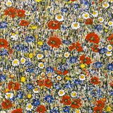 Flowers of the Field