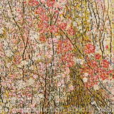 When Spring Blossoms