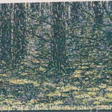 the Misty Wood in Yellow and Violet