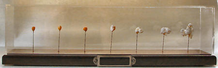 Origin of the species