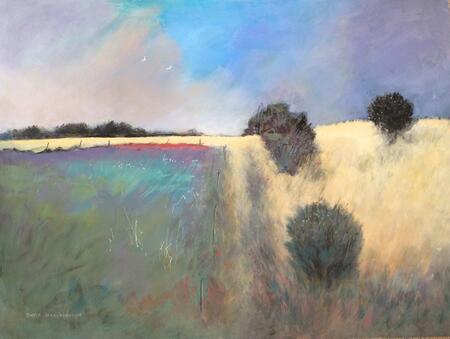 A Sunny Day on the Downs