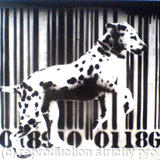SpotDog Barcode