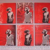 Funky Red Dog Girls set of six