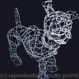 Small Wire Dog