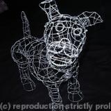 small wire dog