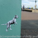 Spot Dog Run Brighton beach