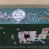 Funky Red Dog Logo on green box