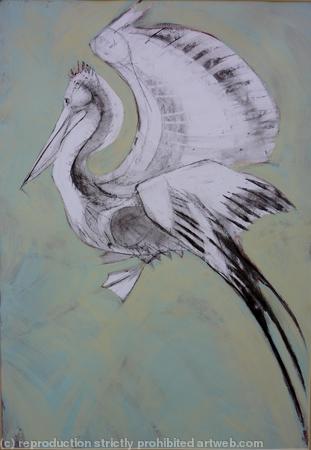 Pelican,blue