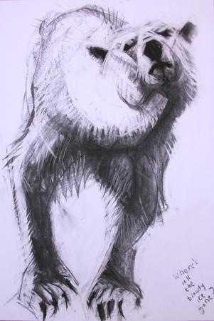 'Where's all the b****y ice gone?'