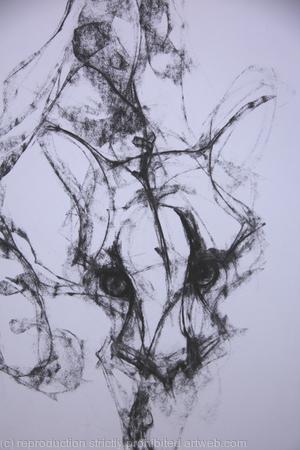 Cloud Leopard, detail