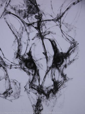 Cloud Leopard, detail