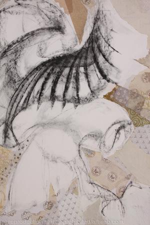 Barn Owl, detail