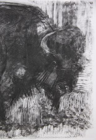 Buffalo, detail